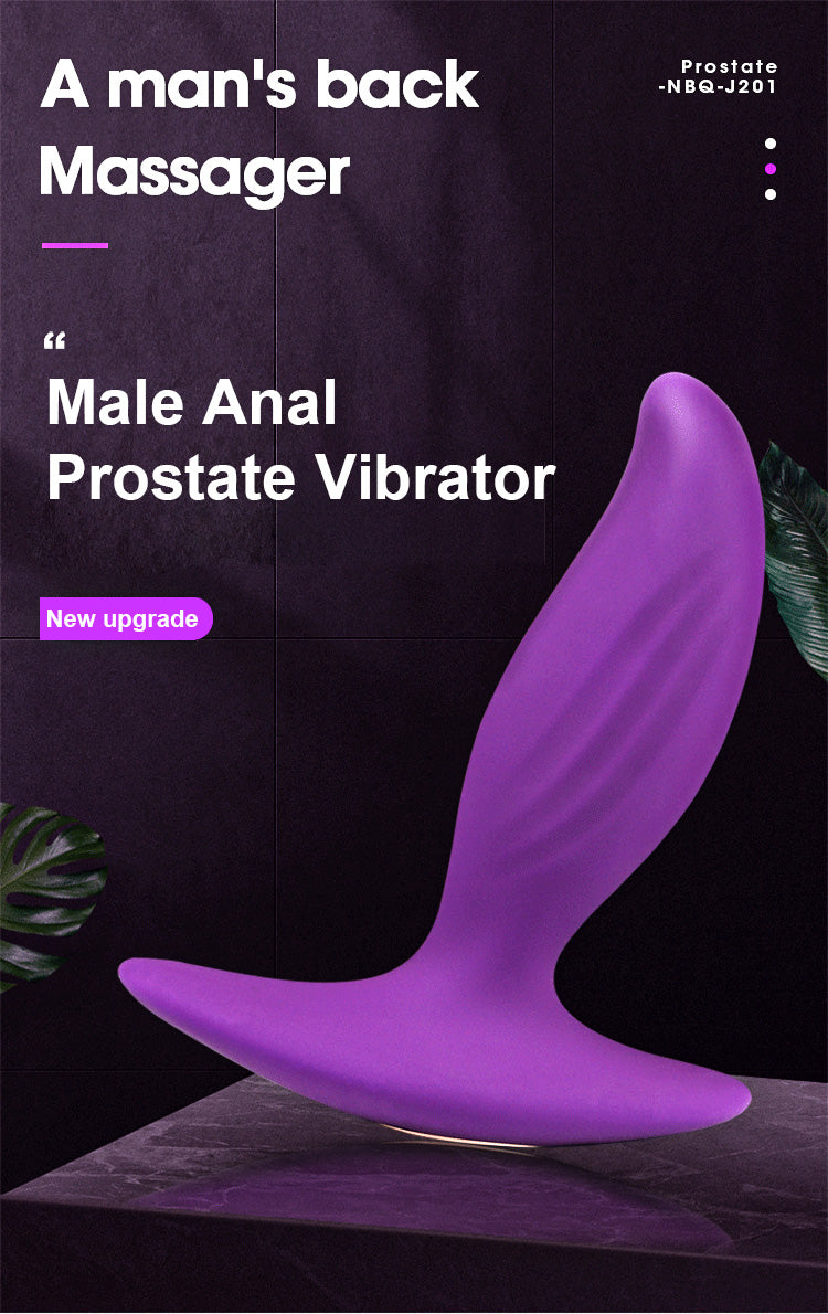High Quality Smooth Good Feeling Anal Toy USB Magnetic Rechargeable Anal Fart Masturbation