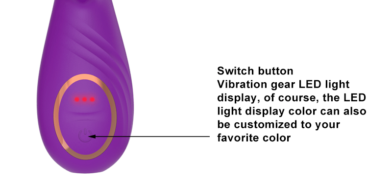 Hot Sale Adult Toys Handheld Vibrating Female Rechargeable Rabbit Vibrators Sex Toy Women